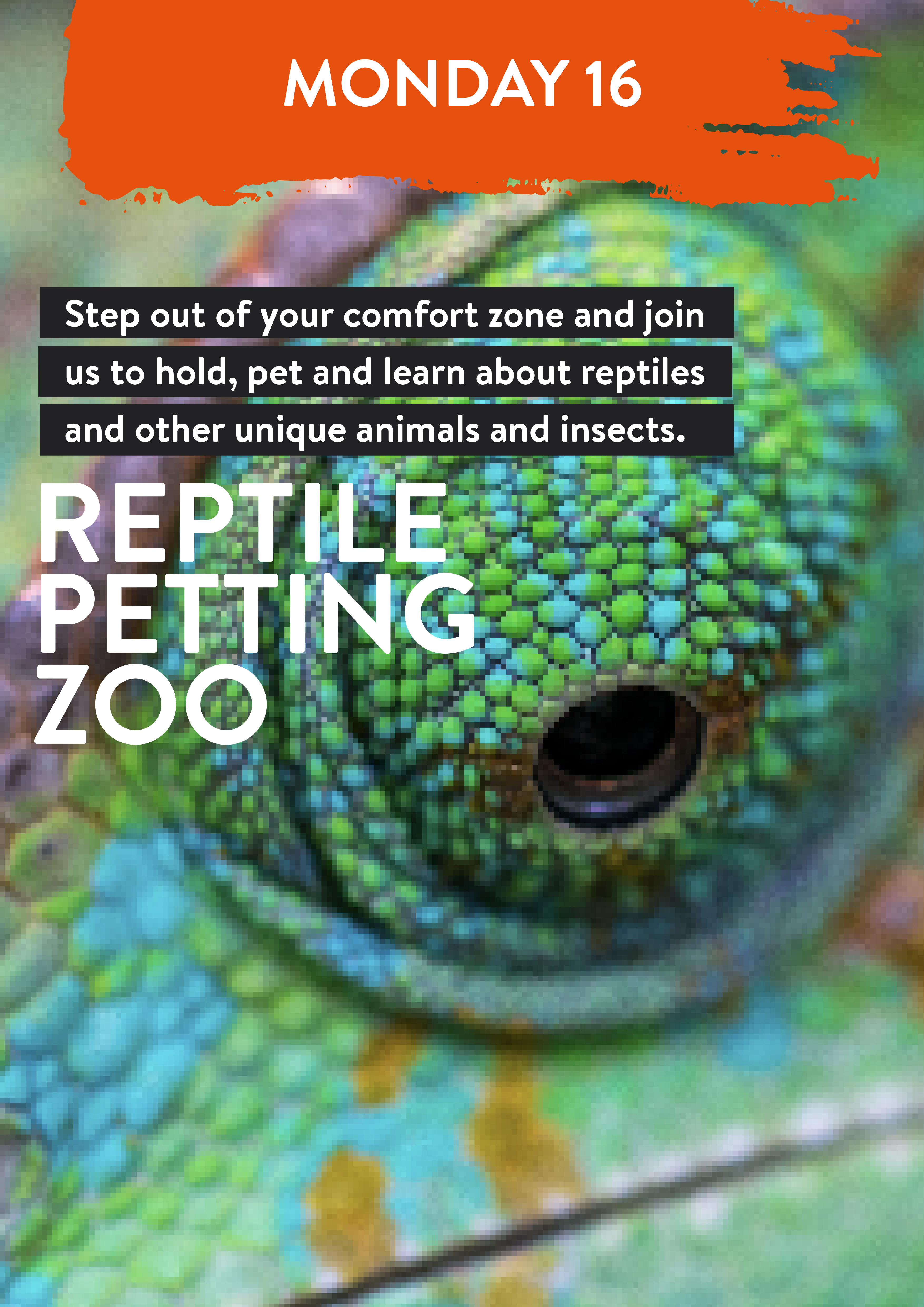 Monday 16 January. Reptile Petting Zoo. Step out of your comfort zone and join us to hold, pet and learn about reptiles and other unique animals and insects.
