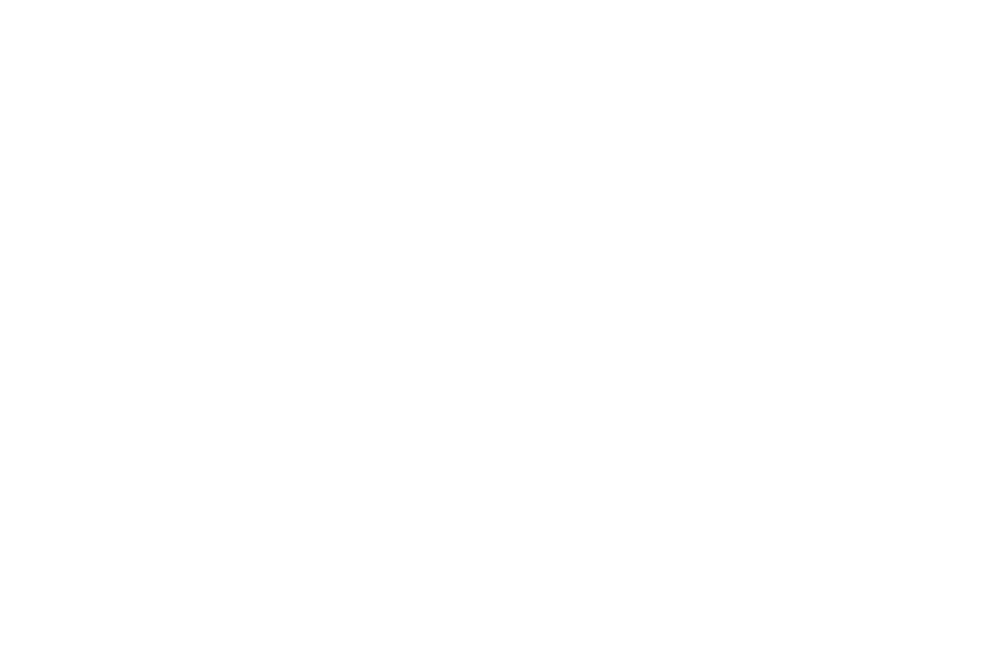 Summer Festival Logo