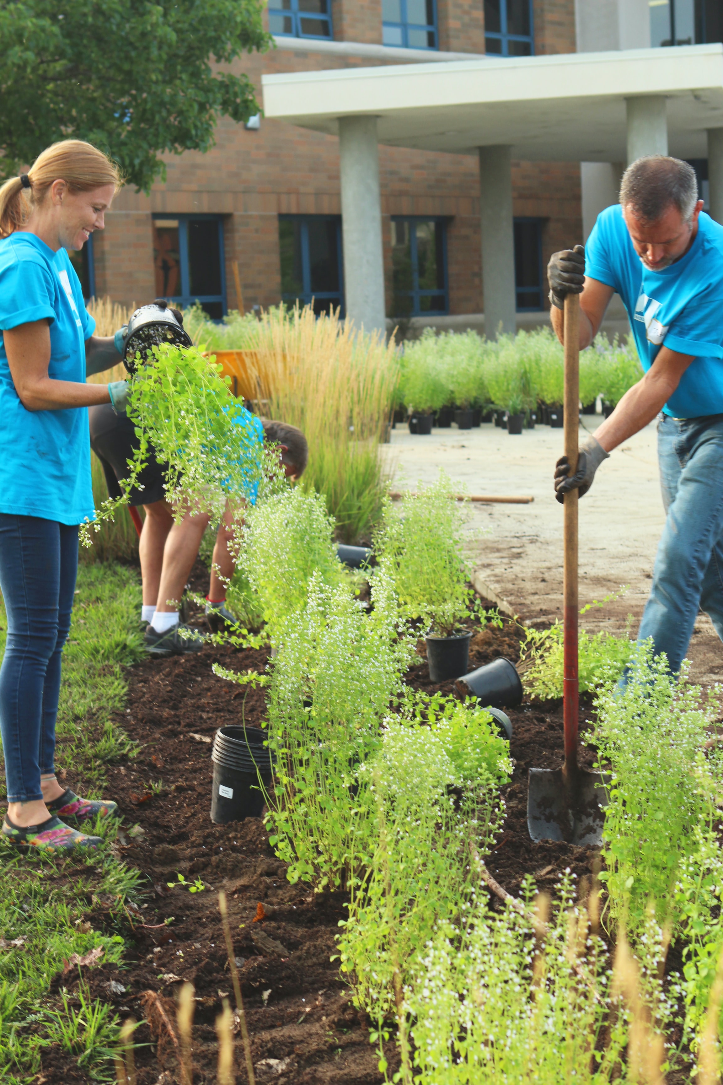 Students volunteering and gardening on campus.