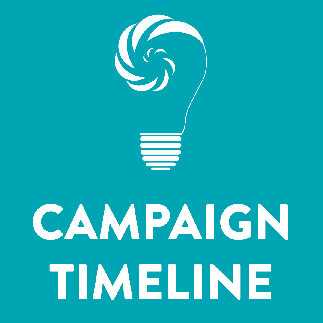 and Link: Campaign Timeline